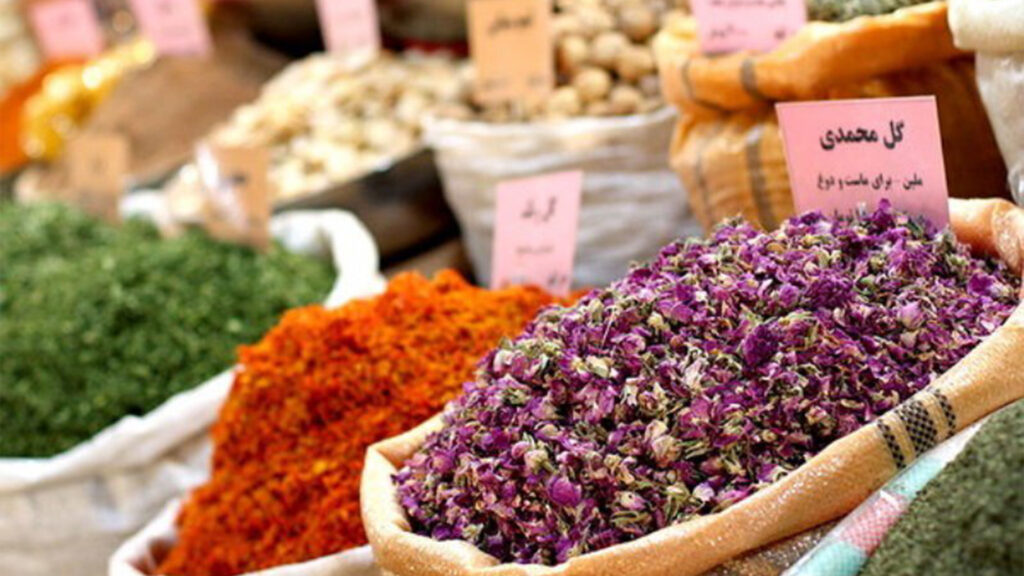 Iranian Traditional Medicine