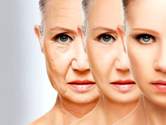 Rejuvenation-treatment-at-Nora